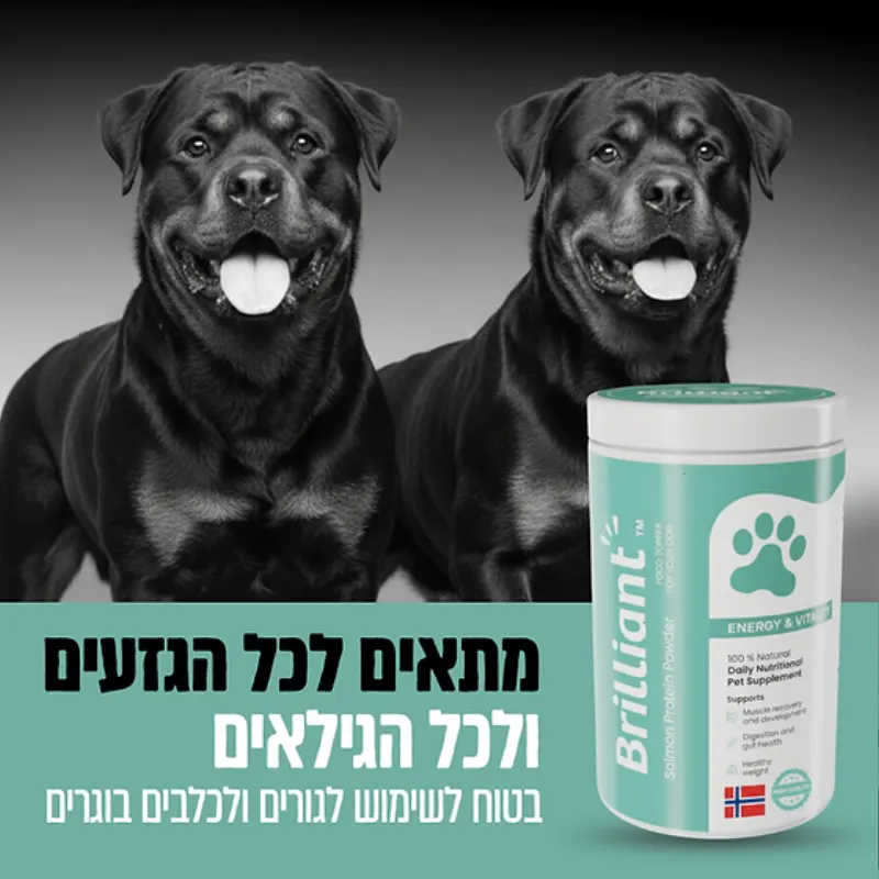 אבקת חלבון סלמון חדשנית – Brilliant Energy & Vitality Protein Powder - תמונה 2