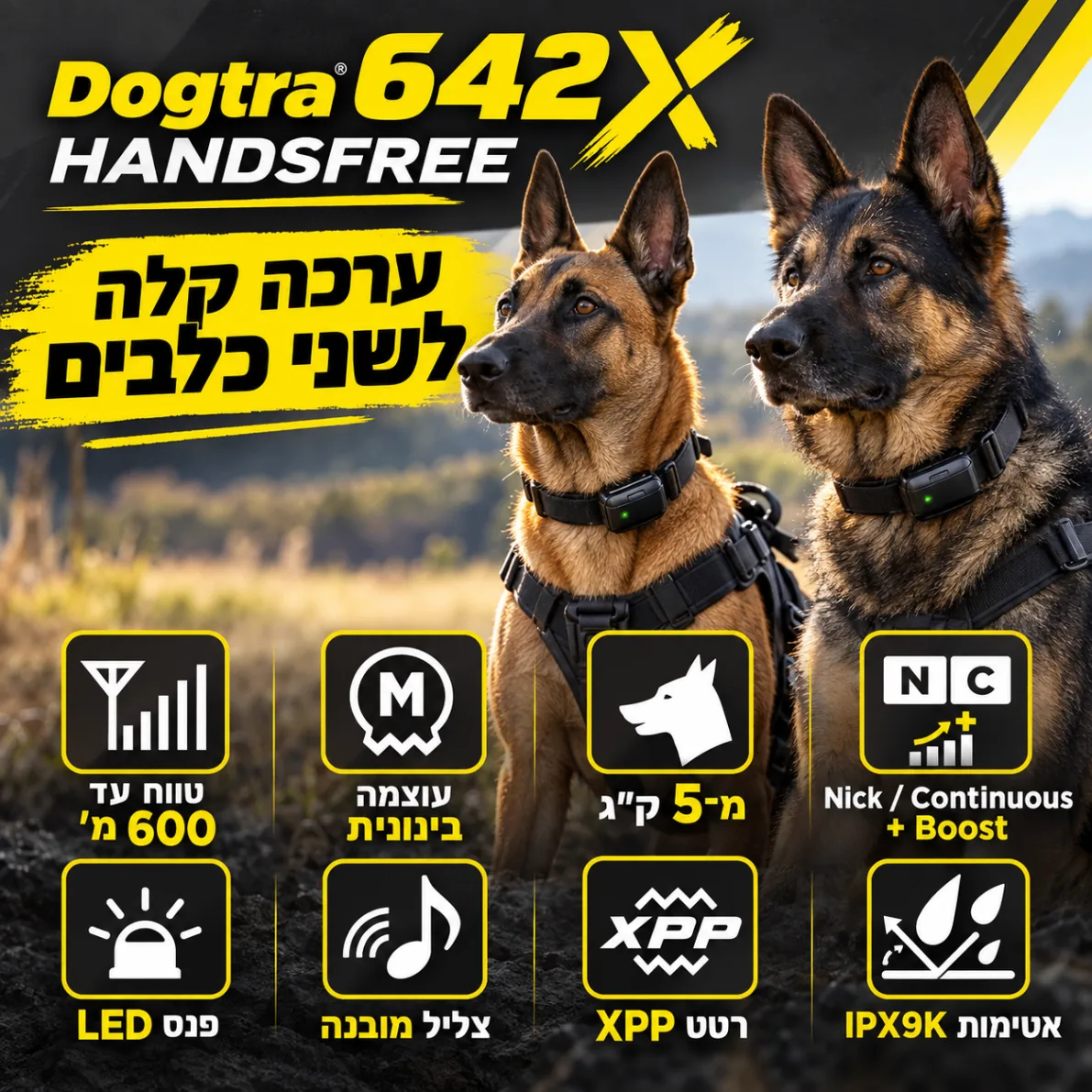 שני כלבים עם מקלטי Dogtra ואייקוני מפרט: טווח 600 מ׳, מ־5 ק״ג, רטט XPP, צליל, LED ו־IPX9K
