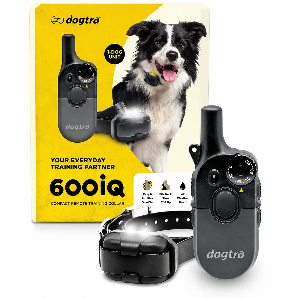 אריזת קולר אילוף אלקטרוני Dogtra 600iQ דגם 2026