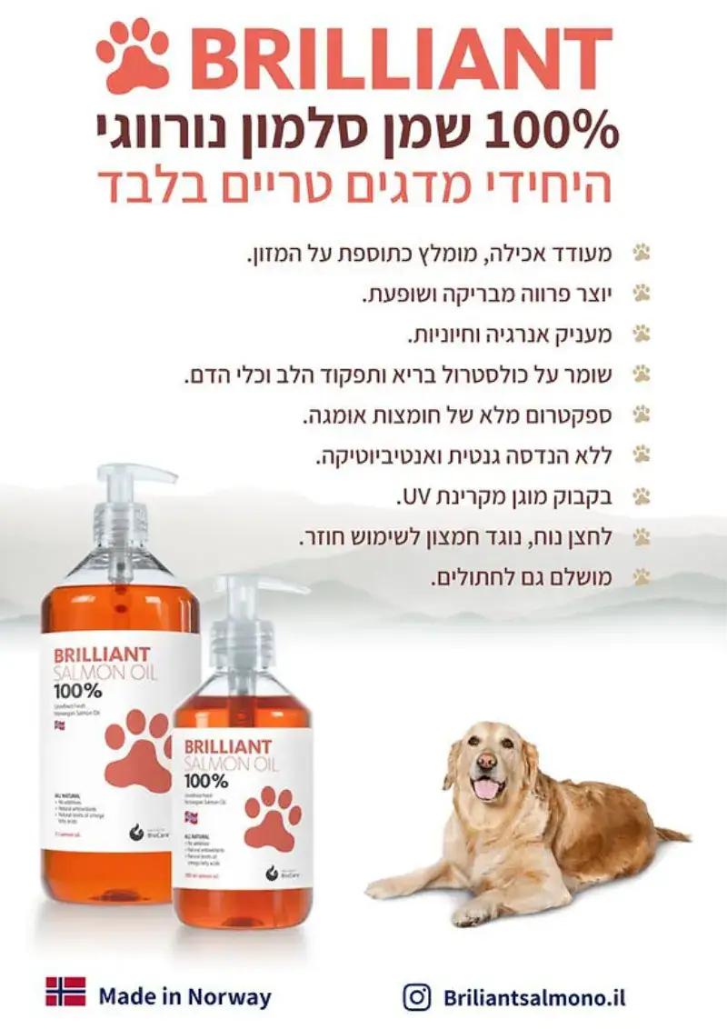 שמן סלמון איכותי נורווגי – Brilliant 100% Norwegian Salmon Oil - תמונה 2