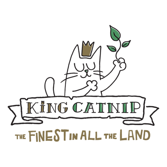 צעצוע קטניפ לחתול בצורת נחש KING CATNIP – Snake - תמונה 3