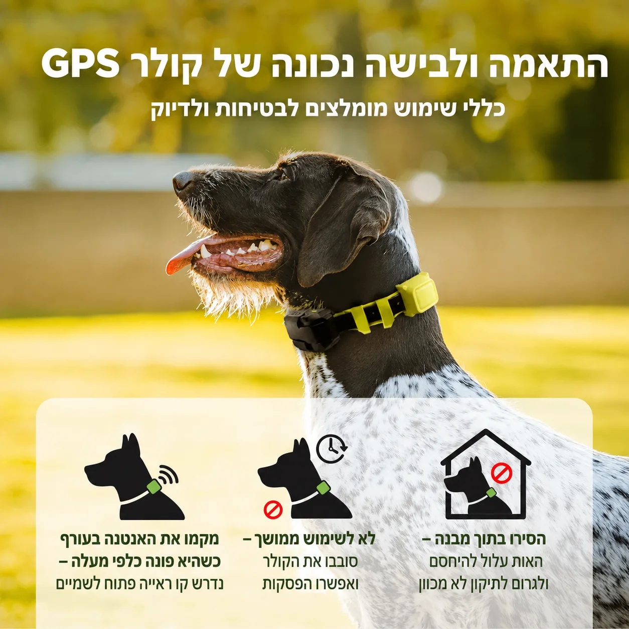 התאמה ולבישה נכונה של קולר ה-GPS – מיקום אנטנה והנחיות בטיחות