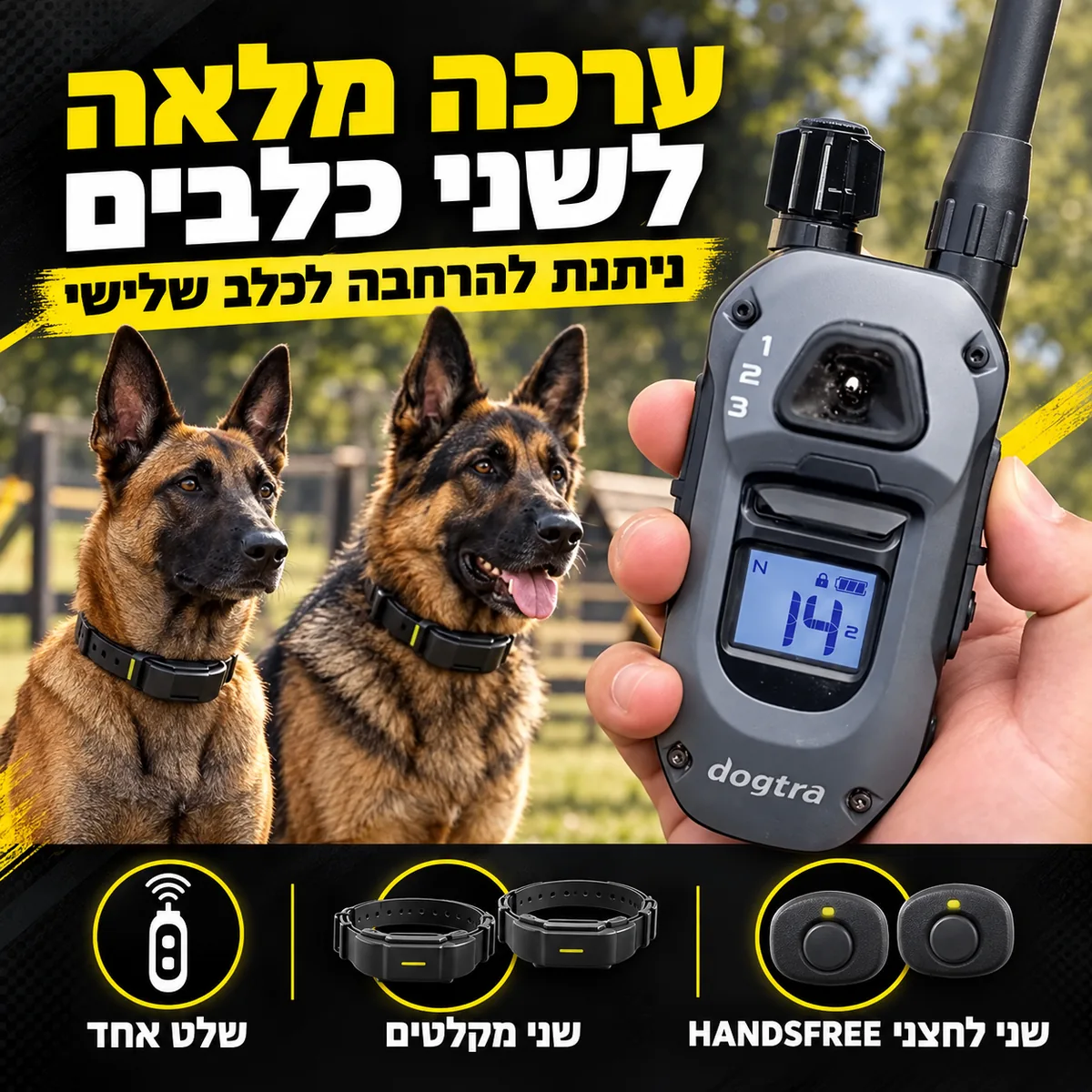 שני כלבי רועים ושלט Dogtra 642X ביד – שלט אחד, שני מקלטים ושני לחצני HANDSFREE