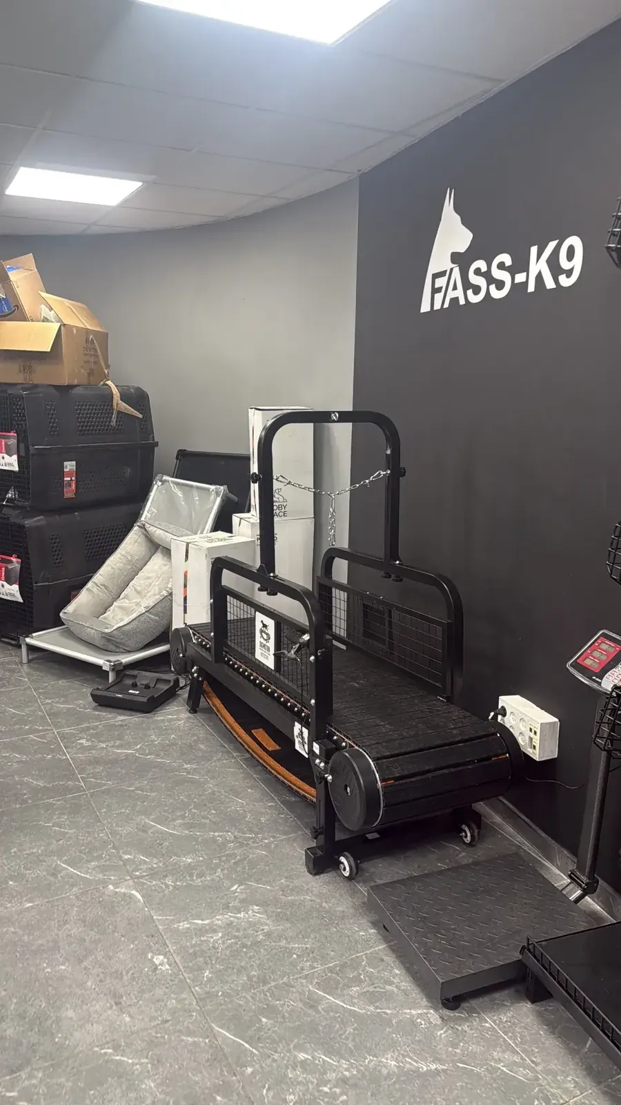 הליכון מקצועי לכלבים לאימון כושר בחנות FASS-K9 אשקלון